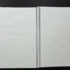 caderno - miolo pautado